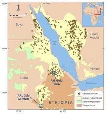 Read more about the article معلومة جيولوجية:إكتشاف رواسب ذهب واسعة النطاق في الدرع العربي-النوبي